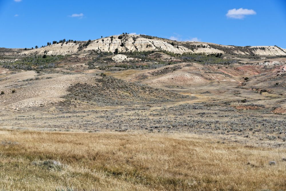 Landscape of Fossil Butte National Monument
