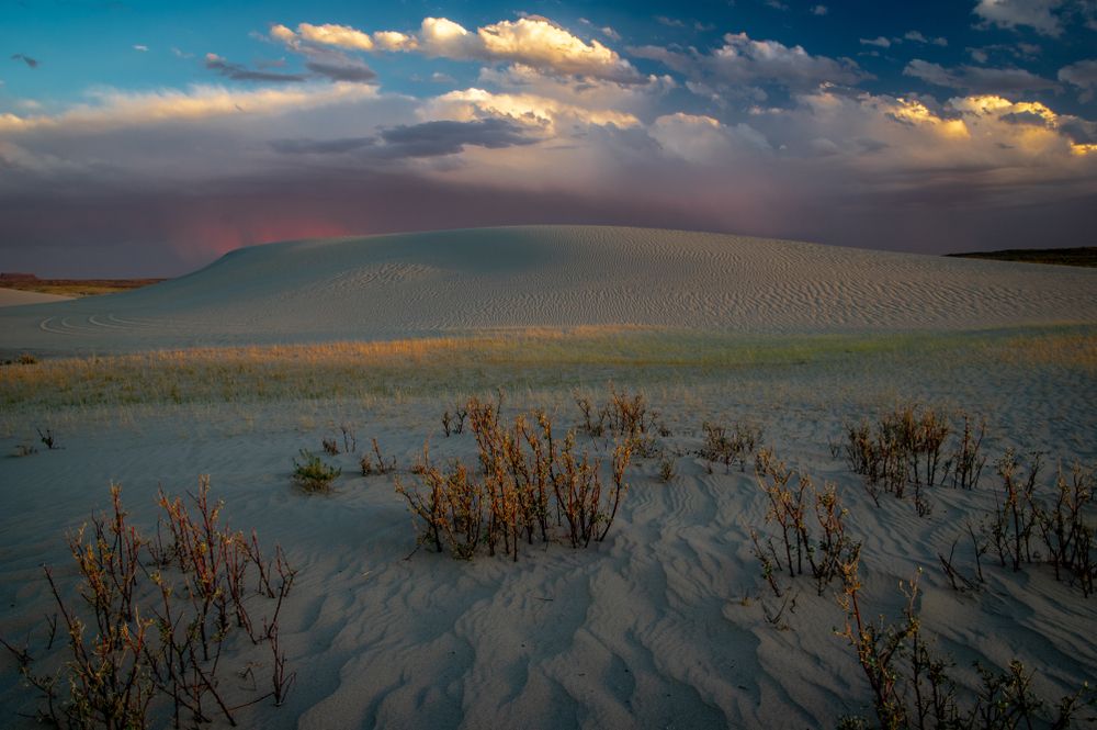 Scenic view of Killpecker Sand Dunes