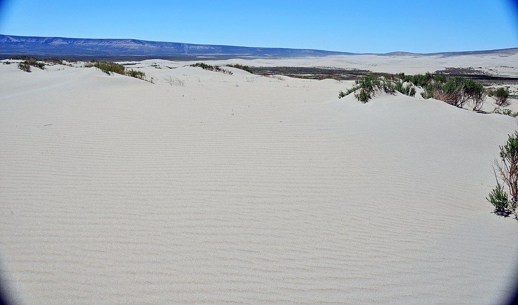 The sand of Killpecker Sand Dunes