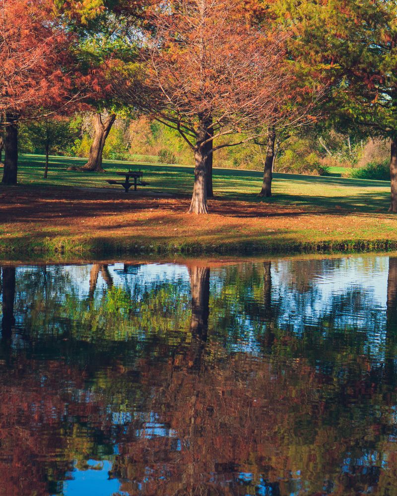 Scenic view of Crowley Park