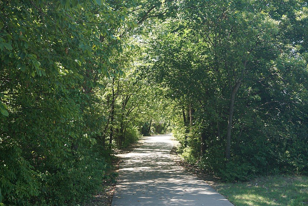 Trail at Galatyn Woodland Preserve