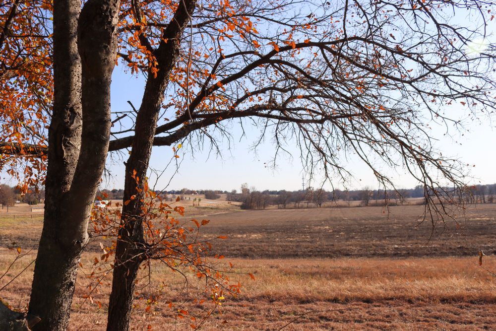 Daytime view of Oak Point Park and Nature Preserve