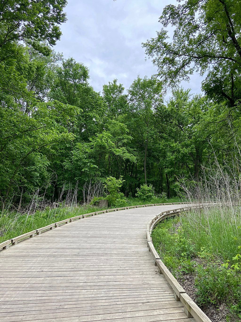 Boardwalk trail at Oak Point Park and Nature Preserve