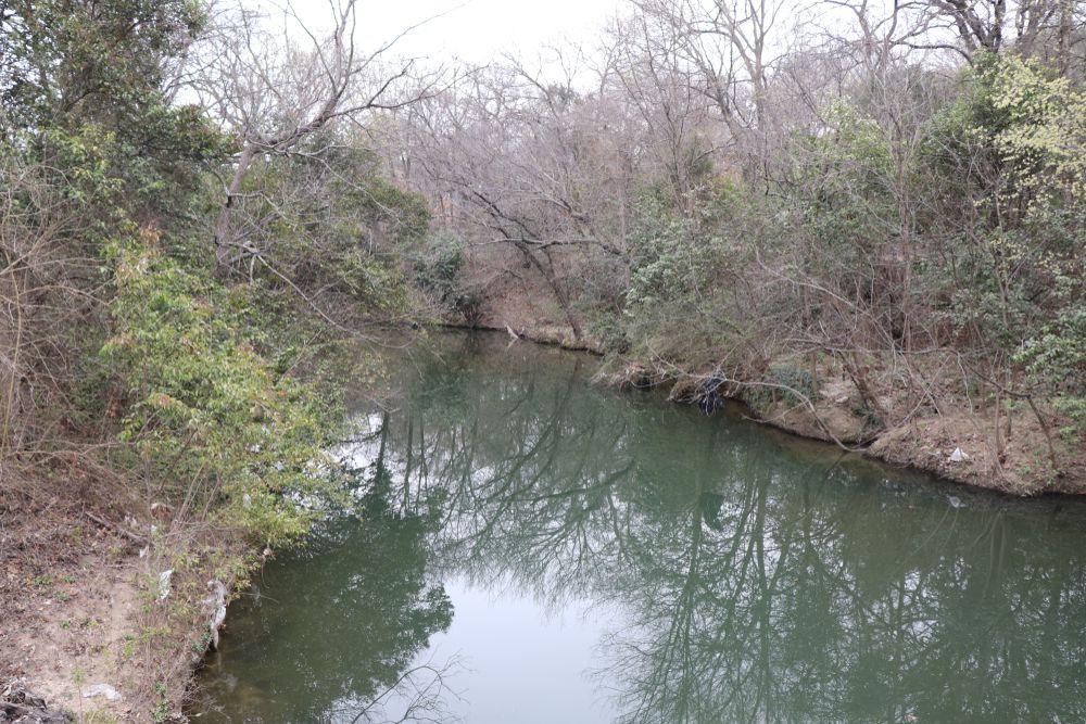 The waters of Prairie Creek Park