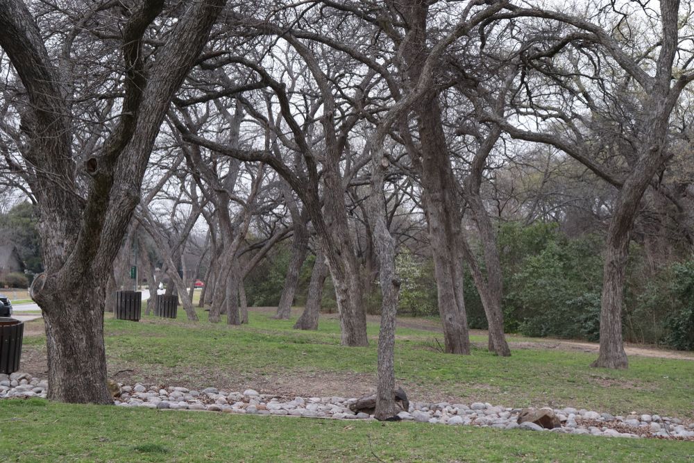 The grounds of Prairie Creek Park