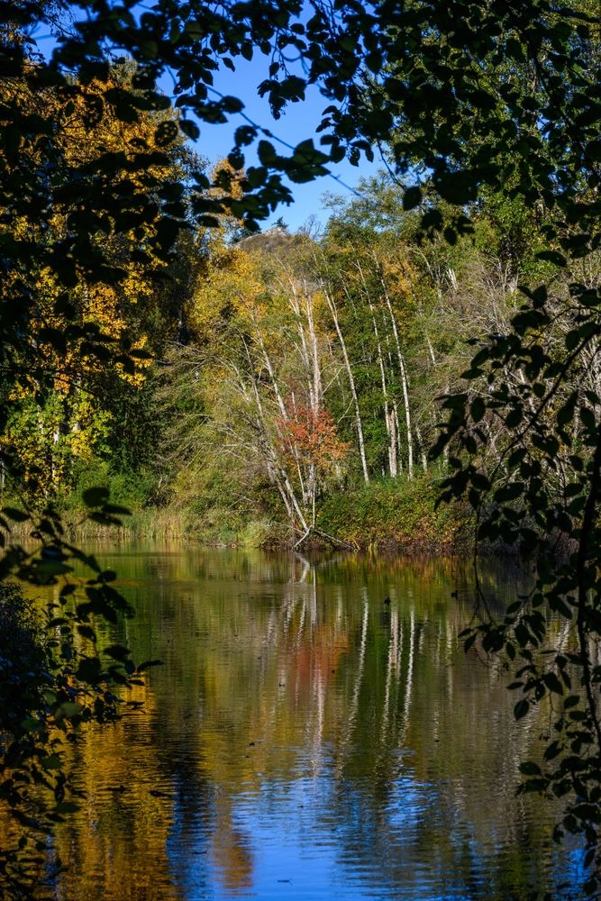 The waters of Black River Riparian Forest and Wetland