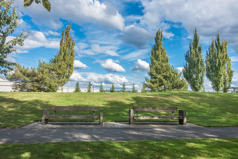 Daytime view of Cedar River Trail Park