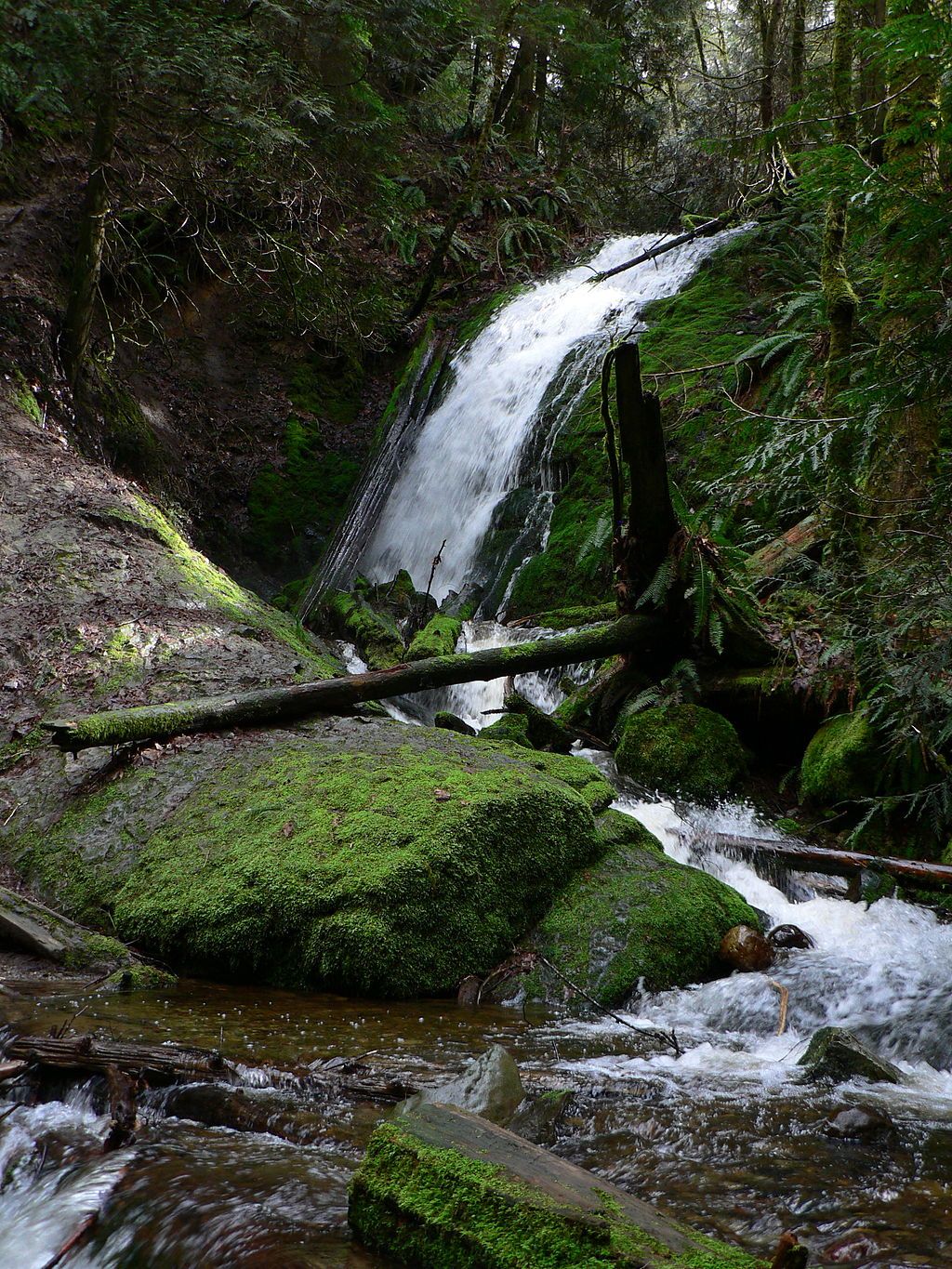 A waterfall at Cougar Mountain Regional Wildland Park