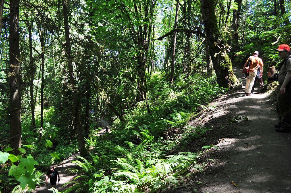 Hikers along Evans Creek Preserve's trail