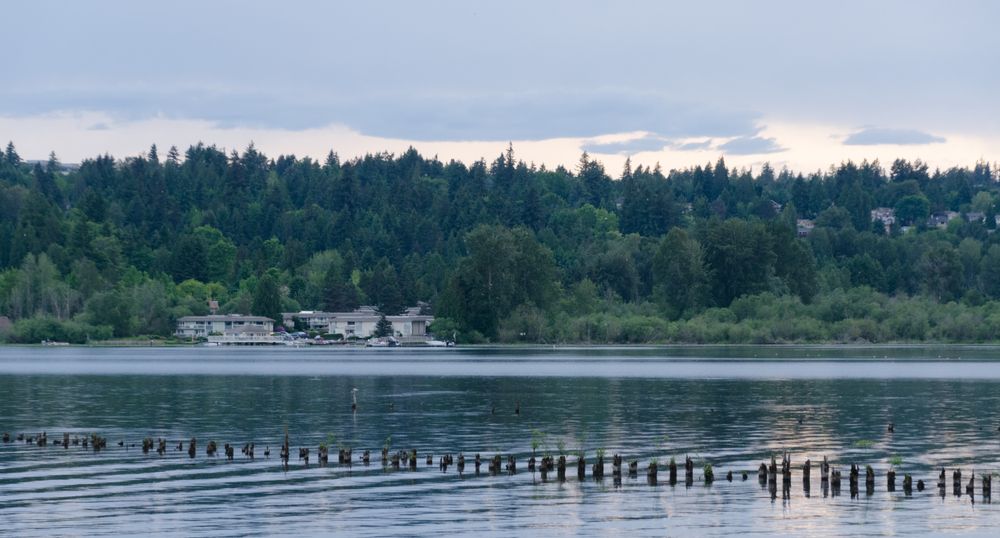 The waters of Idylwood Park