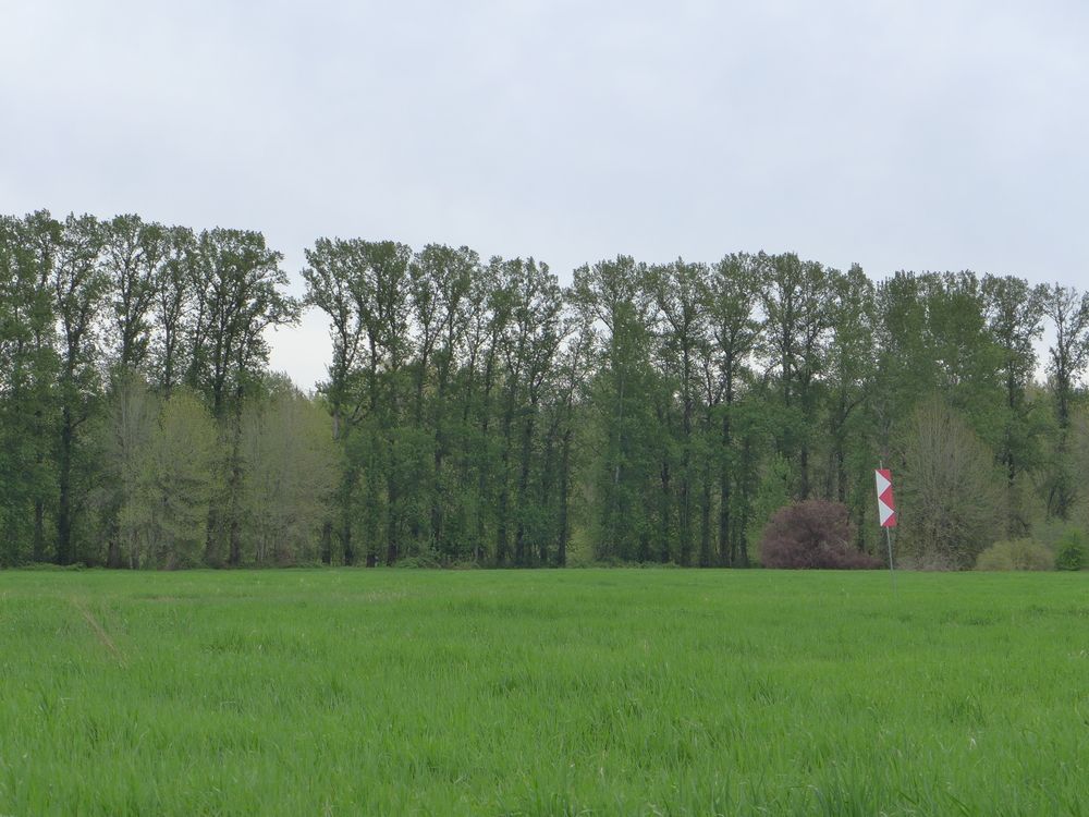 The grounds of Marymoor Park