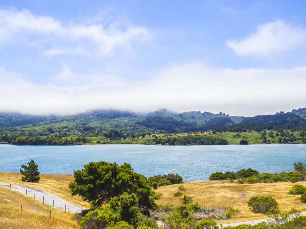 Scenic daytime view of San Andreas Lake