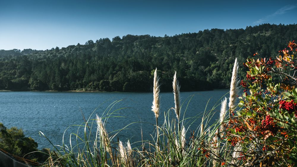 View of Sawyer Camp Trail
