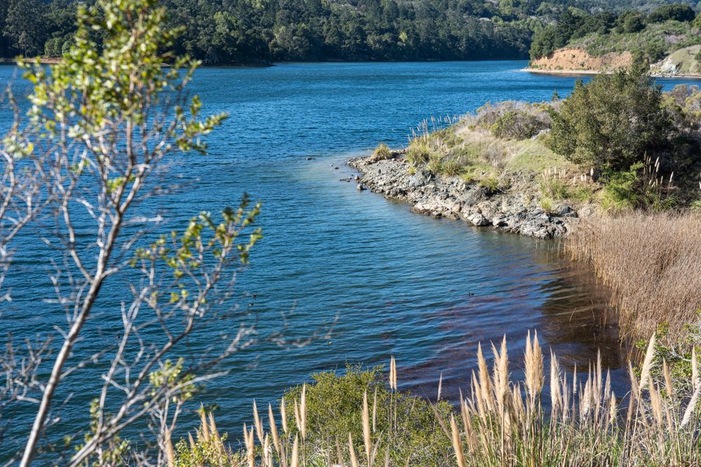 View of Sawyer Camp Trail