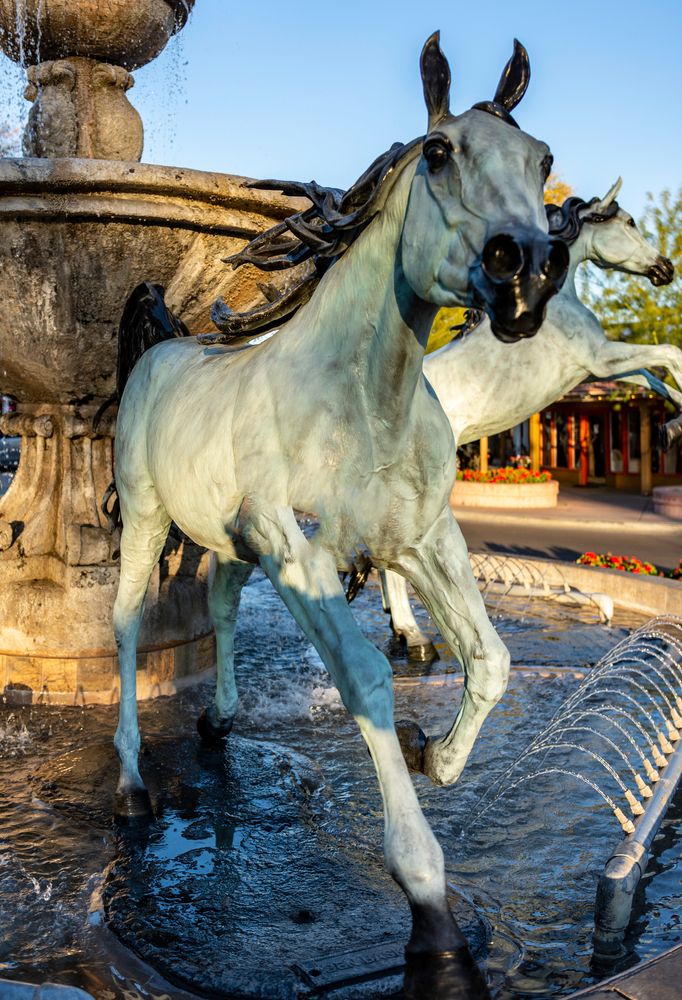 Carved horses of the Bronze Horse Fountain by Bob Parks