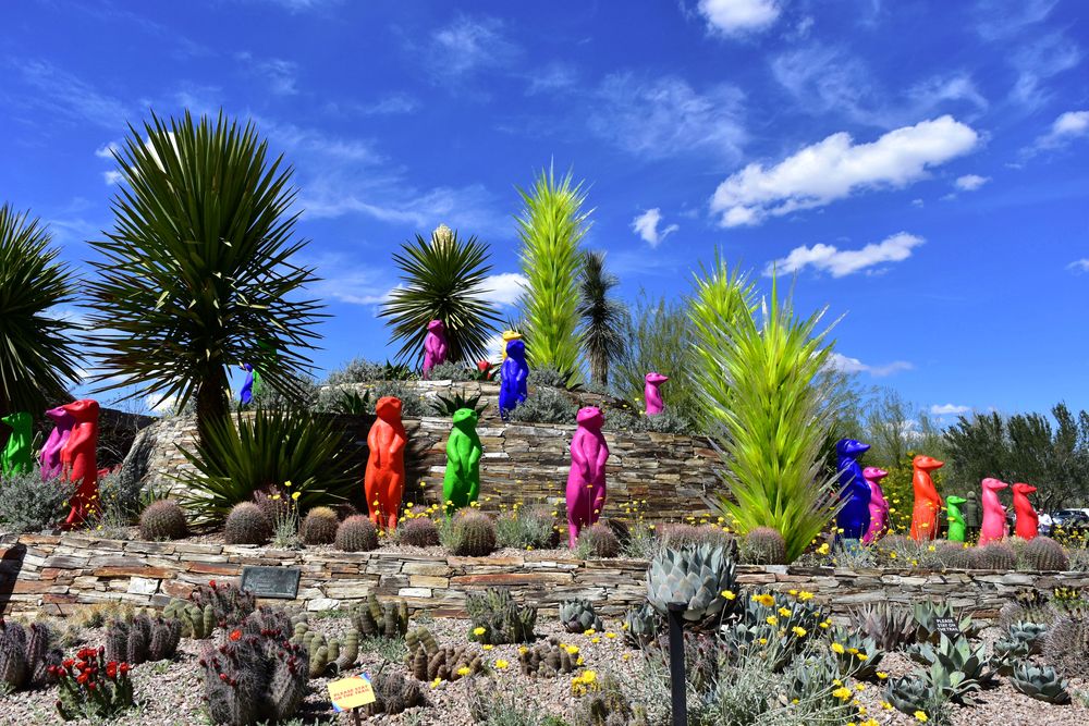 Colorful sculptures at Desert Botanical Garden
