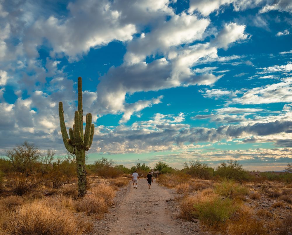 People touring around McDowell Sonoran Preserve