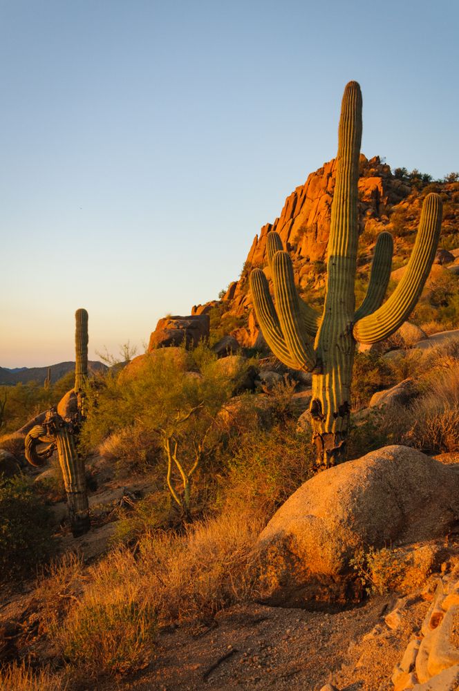 Scenic view of Pinnacle Peak Park