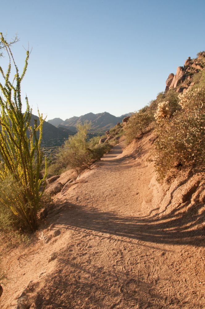 Trail at Pinnacle Peak Park