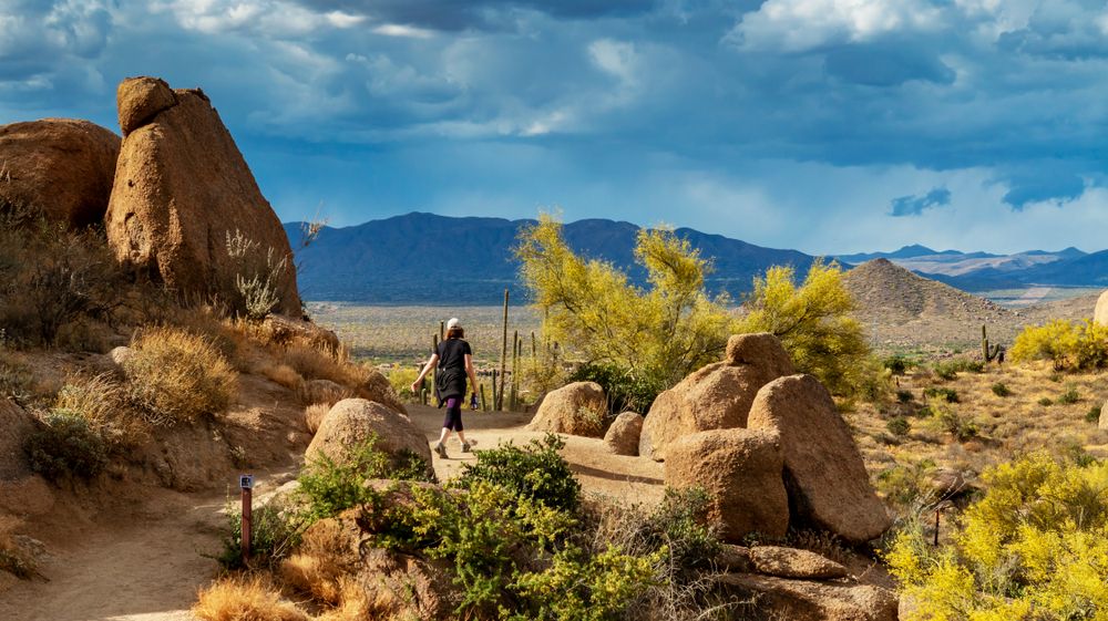 A hiker at Pinnacle Peak Park