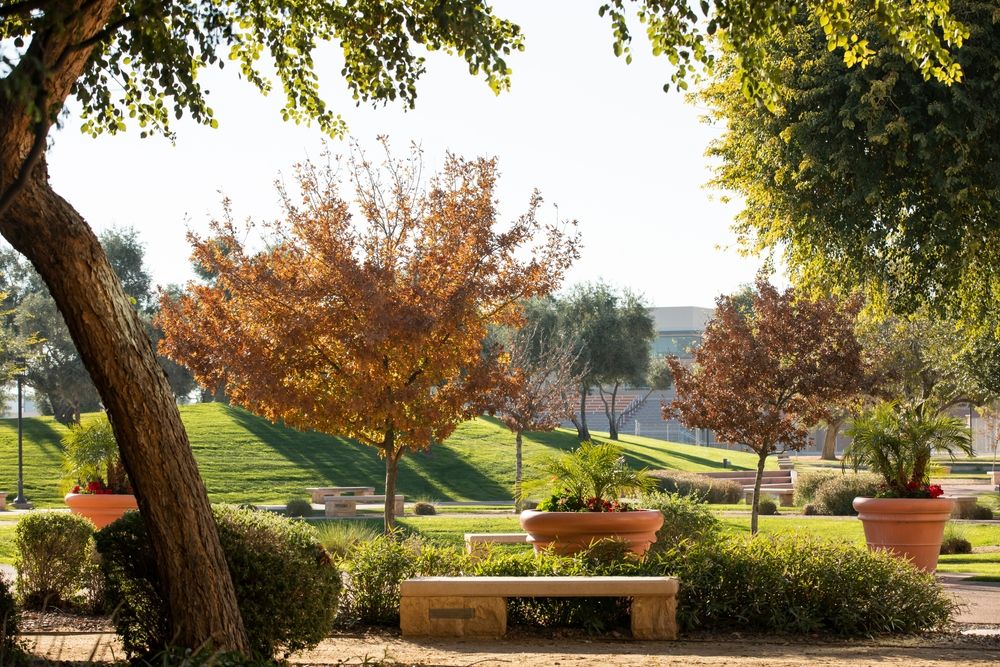 The grounds of Surprise City Center