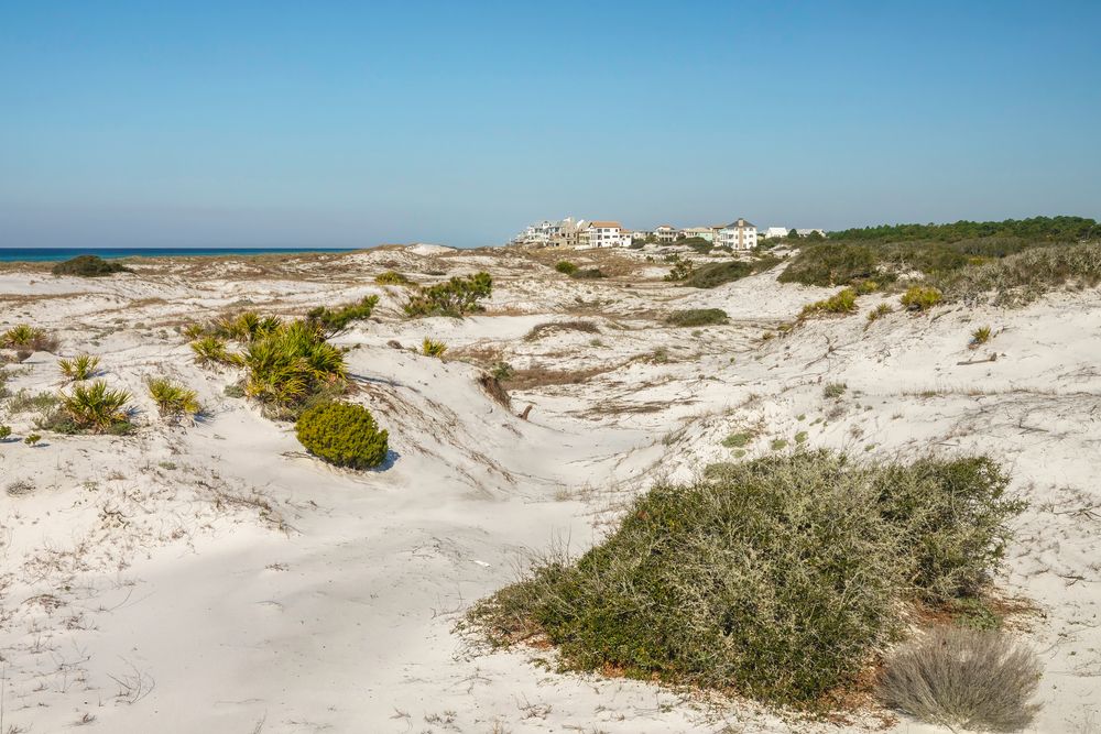 Dunes at Deer Lake State Park