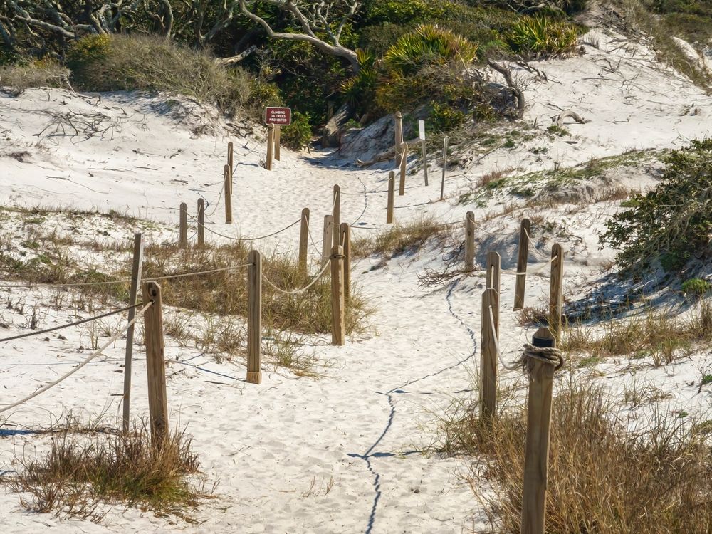 Dunes at Grayton Beach State Park