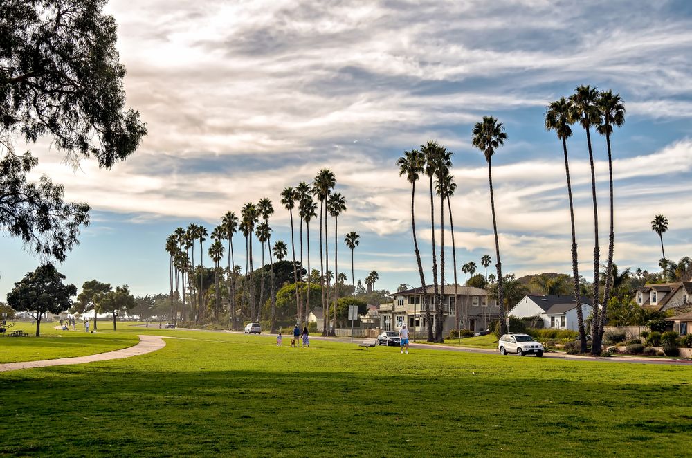 Trail at Shoreline Park