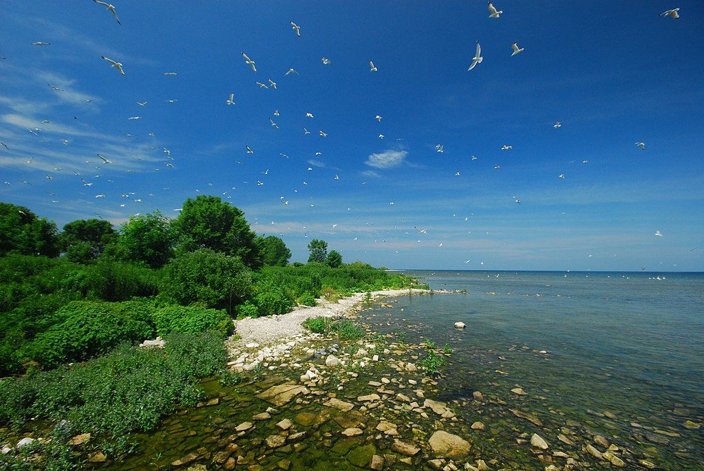 Scenic view of Sister Island Natural Area