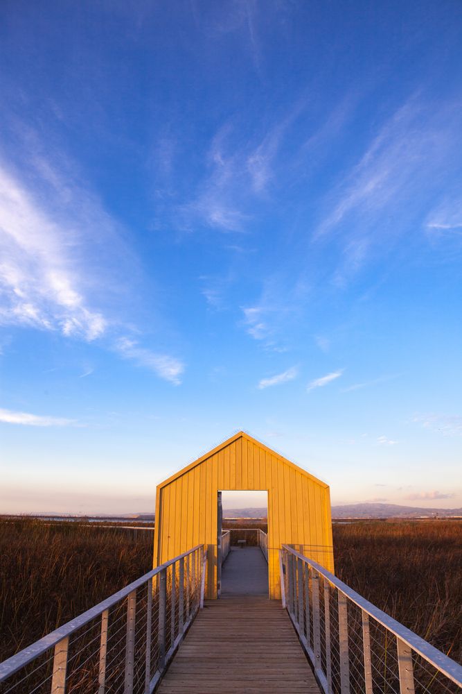 Boardwalk at Alviso Marina County Park
