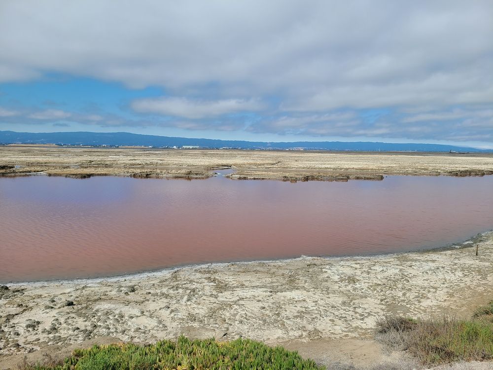 Red salt pond at Alviso Marina County Park