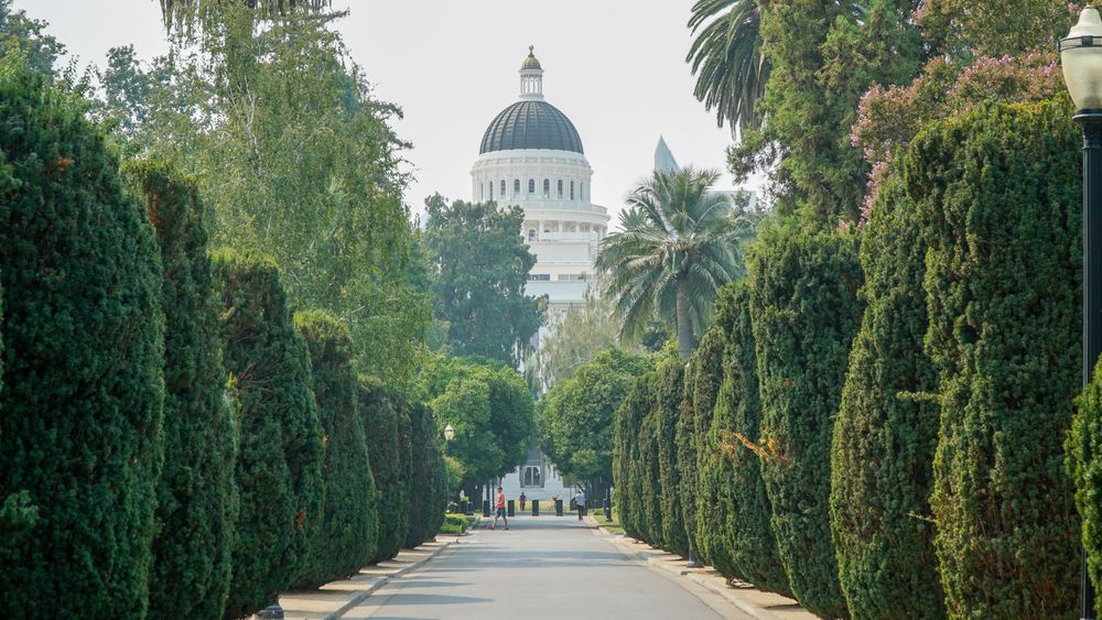 Trail lined with shrubs at California State Capitol Park