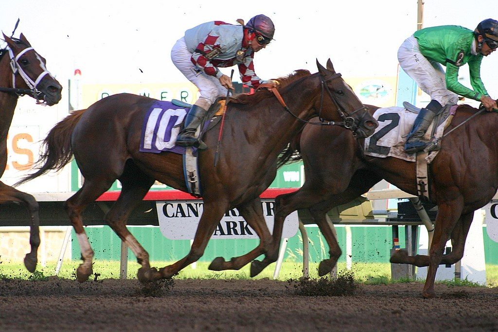 Horse-racing at Canterbury Park