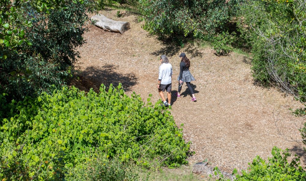 Strolling at Coldwater Canyon Park