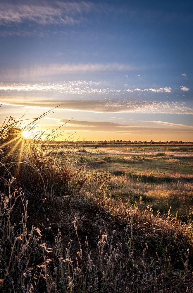 Scenic view of Cosumnes River Preserve