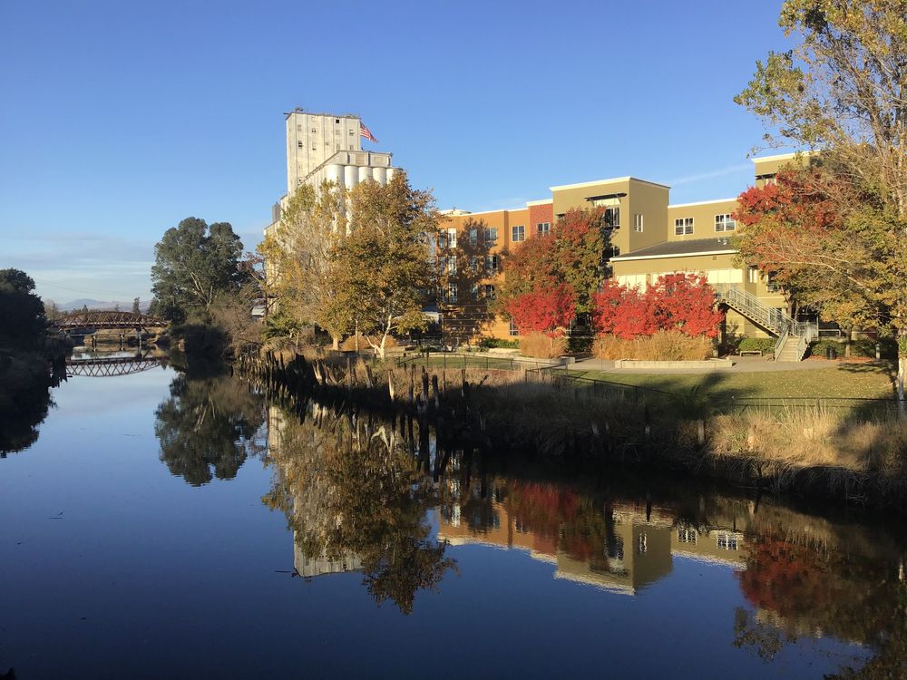 A river at Downtown Petaluma