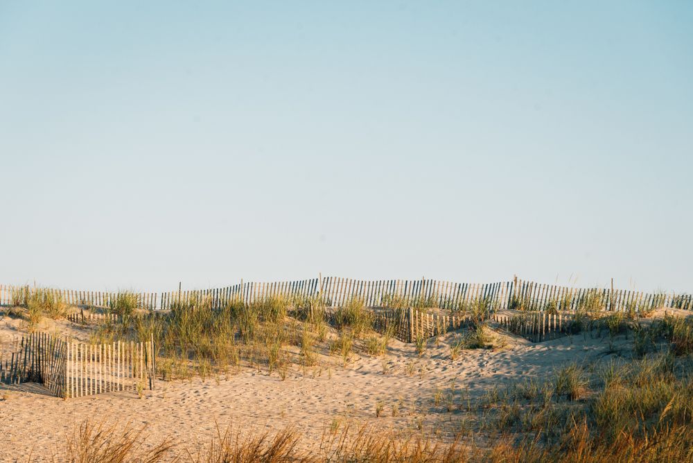 Sand dunes of Fire Island National Seashore