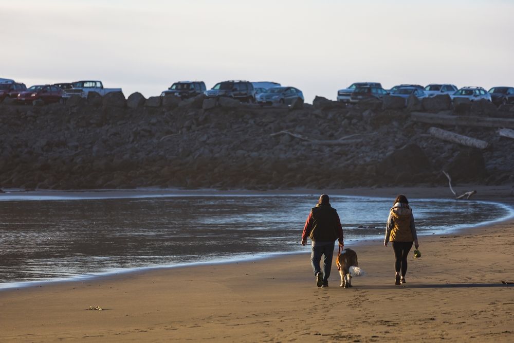 People at Goat Rock Beach