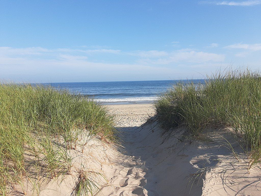 Sand dunes of Hither Hills State Park