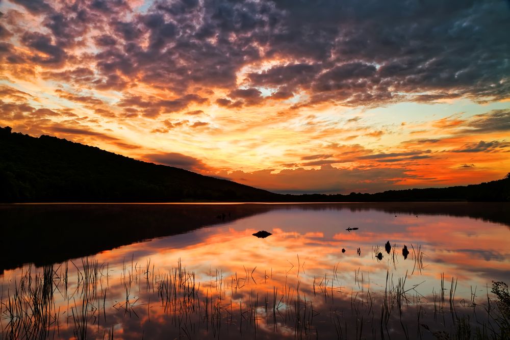 Gorgeous sunrise over Locust Lake State Park
