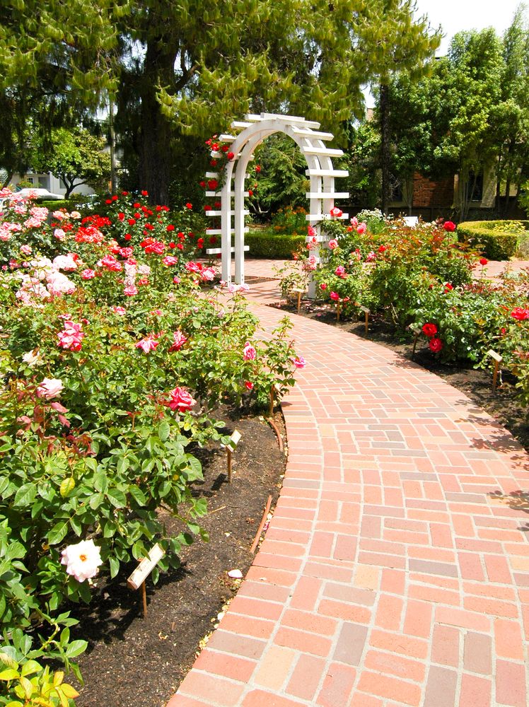 Trail lined with flowers at Luther Burbank Home and Gardens