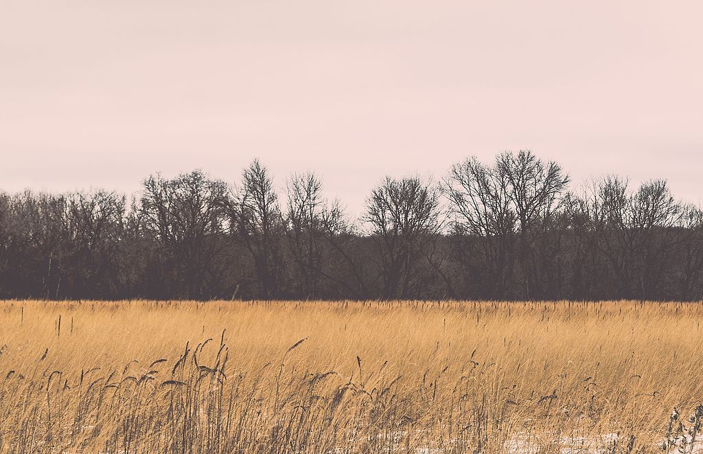 Landscape of River Bluffs Regional Park