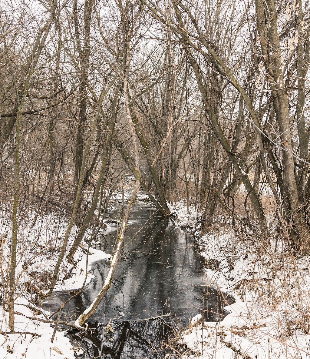 Winter scene at River Bluffs Regional Park