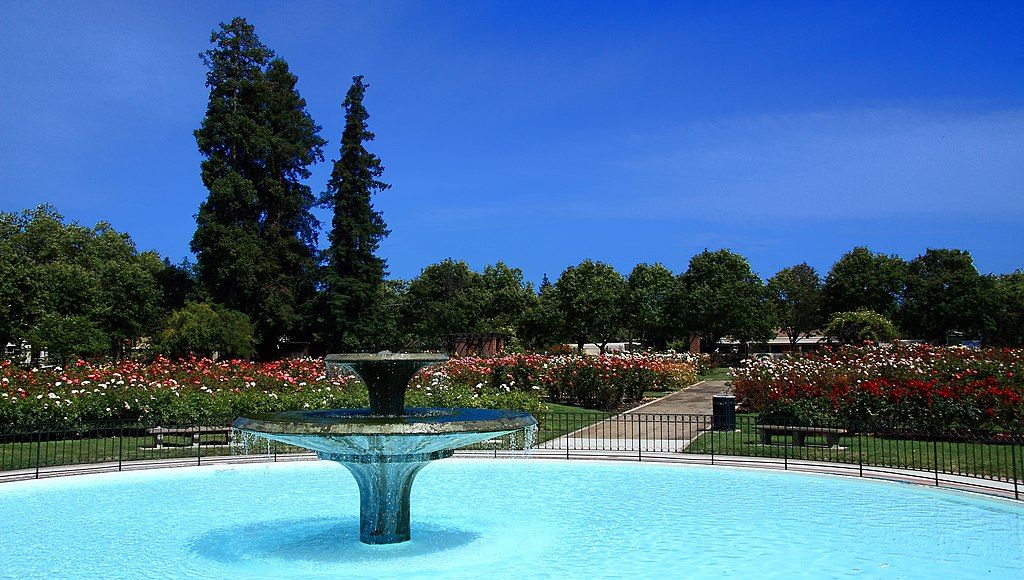 Water fountain at San Jose Municipal Rose Garden