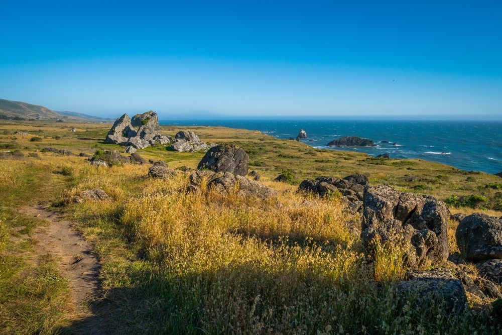 A trail Sonoma Coast State Park