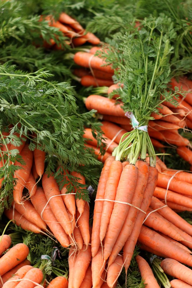 Carrots for sale at Studio City Farmers Market