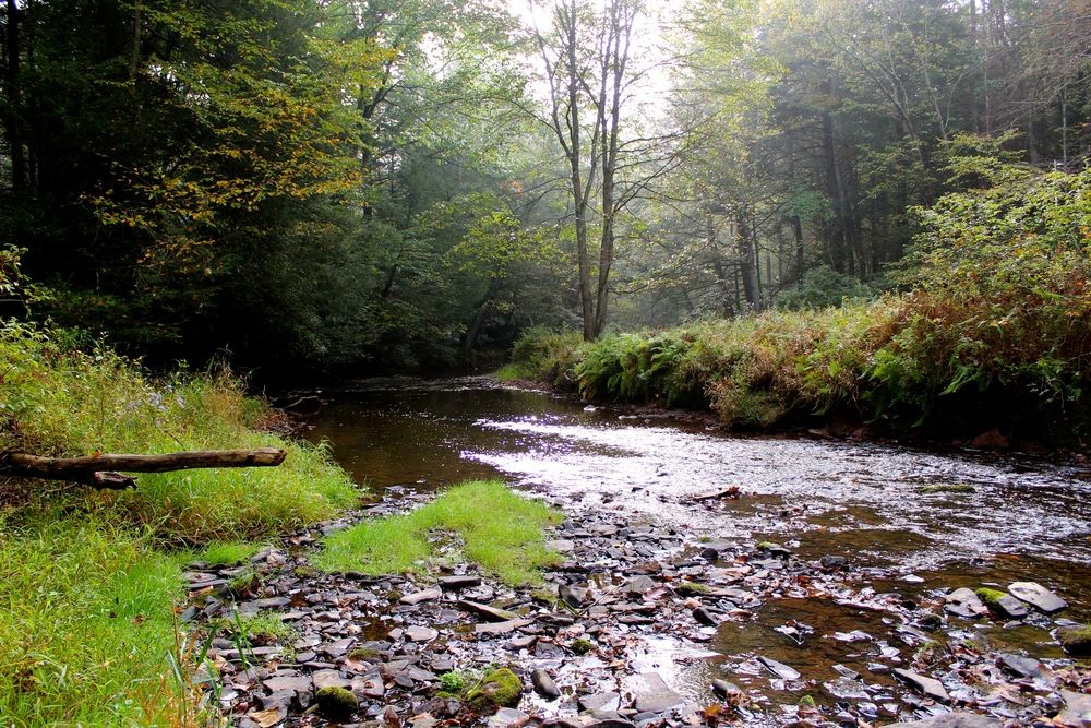 The waters of Tuscarora State Park