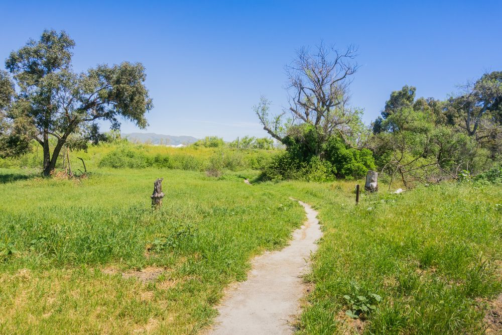 Trail at Ulistac Natural Area