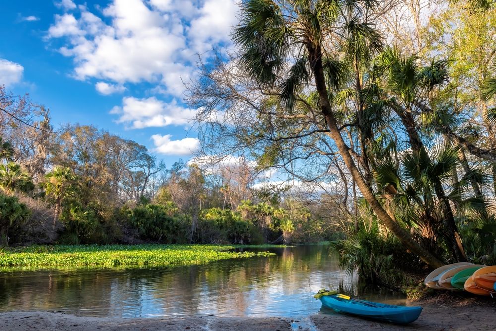 The waters of Wekiwa Springs State Park