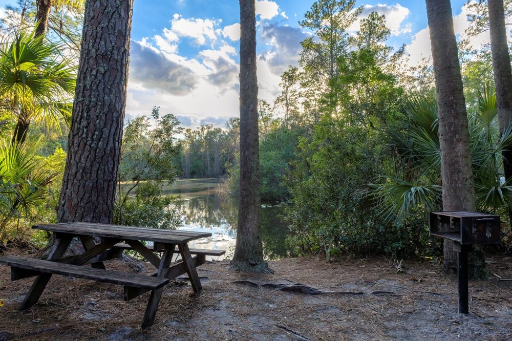 A picnic bench at Wekiwa Springs State Park